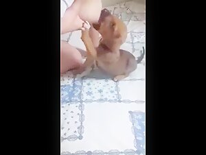 Woman Breastfeeding a Puppy 17